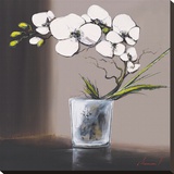 Volutes D'Orchidées Banches II Stretched Canvas Print by Olivier Tramoni