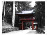 Red Gate Print by  NaxArt