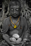 Buddha Stone Print