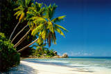 Beach-New Morning Kunstdrucke