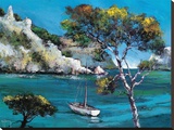 Promenade Dans Les Calanques Stretched Canvas Print by Roger Keiflin