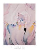 Light Iris 1924 Posters by Georgia O'Keeffe