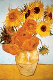 Sunflowers, c.1888 Posters by Vincent van Gogh
