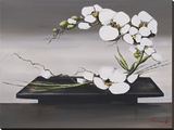 Bonheur D'Orchidees Blanches II Stretched Canvas Print by Olivier Tramoni