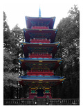 Nikko Shrine Prints by  NaxArt