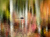 Autumn Trees are Reflected in the Lake at Connemara Photographie par Amy & Al White & Petteway