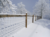 A Fence Divides the Landscape in a Snowy Scenic Photographie par Amy & Al White & Petteway
