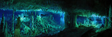The Cascade Room Leads Divers Deeper Into Dan's Cave on Abaco Island Fotoprint van Wes C. Skiles The Cascade Room Leads Divers Deeper Into Dan's Cave on Abaco Island Fotoprint van Wes C. Skiles