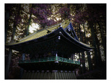 Nikko Architectural Detail Photo by  NaxArt