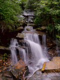 A Beautiful Gentle Waterfall in a Forested Scenic Photographie par Amy & Al White & Petteway