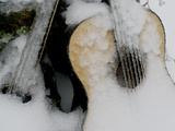 Ice Coats a Mandolin and a Guitar Left Outside as an Art Project Photographic Print by Amy & Al White & Petteway