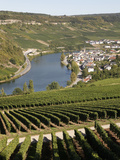 Vineyards and Village of Machtum, Mosel Valley, Luxembourg, Europe Photographic Print by Hans-Peter Merten