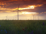 Wind Turbines at Sunset, Kavarna Wind Farm, Kavarna, Bulgaria, Europe Photographic Print by Dallas & John Heaton