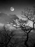 A Nearly Full Moon Sets over the Blue Ridge Mountains at Dawn Photographie par Amy & Al White & Petteway