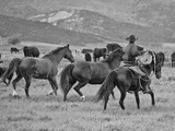 A Cowboy Herding Cattle in Field Photographic Print by Robbie George