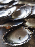 A Black Pearl in an Oyster Shell Photographic Print by Aaron Huey