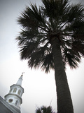 City Hall with a Palm Tree in the Foreground in Charleston Photographic Print by Keith Barraclough