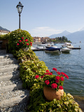 Town and Lakeside, Menaggio, Lake Como, Lombardy, Italian Lakes, Italy, Europe Photographic Print by Frank Fell