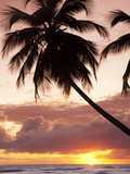 Tropical Sunset, Bridgetown, Barbados, West Indies, Caribbean, Central America Photographic Print by Angelo Cavalli