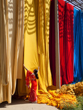 Woman in Sari Checking the Quality of Freshly Dyed Fabric Hanging to Dry, Sari Garment Factory, Raj Photographie par Gavin Hellier