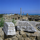 Ruins of Ancient Roman Baths, Antonine Baths, Carthage, UNESCO World Heritage Site, Tunis, Tunisia, Photographic Print by Stuart Black