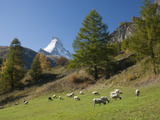 Zermatt, Valais, Swiss Alps, Switzerland, Europe Photographic Print by Angelo Cavalli