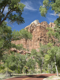 Zion Canyon Scenic Drive, Near Zion Lodge, Zion National Park, Utah, United States of America, Nort Photographic Print by Richard Maschmeyer