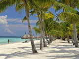 Beach Scene, Panglao, Bohol, Philippines, Southeast Asia, Asia Photographic Print by Luca Tettoni