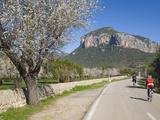 Cyclists on Country Road, Alaro, Mallorca, Balearic Islands, Spain, Europe Photographie par Ruth Tomlinson