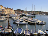 Vieux Port Harbour, St. Tropez, Var, Provence, Cote D'Azur, France, Mediterranean, Europe Photographic Print by Peter Richardson