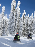 Snowmobilers Riding Through a Forest of Hoar Frosted Trees on Two Top Mountain, West Yellowstone, M Impressão fotográfica por Kimberly Walker