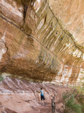 Lower Emerald Pool, Zion National Park, Utah, United States of America, North America Photographie par Richard Maschmeyer