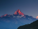 Machapuchare (Machhapuchhre) (Fish Tail) Mountain, in the Annapurna Himal of North Central Nepal, N Photographic Print by Mark Chivers