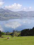 Otago Harbour, Otago Peninsula, Otago, South Island, New Zealand, Pacific Photographic Print by Michael Snell
