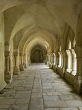 Cloisters, Fontenay Abbey, UNESCO World Heritage Site, Burgundy, France, Europe Photographic Print by Rolf Richardson