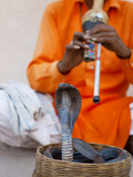 Cobra Snake Charmer Outside the City Palace, Jaipur, Rajasthan, India, Asia Photographie par Gavin Hellier