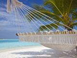 Hammock on Tropical Beach, Maldives, Indian Ocean, Asia Photographie par Sakis Papadopoulos