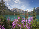Emerald Lake, Yoho National Park, UNESCO World Heritage Site, British Columbia, Rocky Mountains, Ca Photographic Print by Martin Child