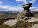 Salt Cellar Rock, Derwent Edge, with Purple Heather Moorland, Peak District National Park, Derbyshi Photographic Print by Neale Clark