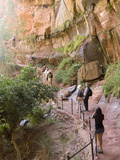 Lower Emerald Pool, Zion National Park, Utah, United States of America, North America Photographic Print by Richard Maschmeyer