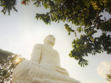 The Large 27M Buddha Statue at Sri Maha Bodhi Viharaya Temple on Bahirawakanda Hill Overlooking the Photographic Print by Rob Francis