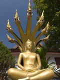 Sitting Buddha with Naga Heads, Wat Mai Complex, Luang Prabang, Laos, Indochina, Southeast Asia, As Photographic Print by Richard Maschmeyer
