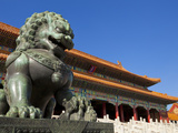 Male Bronze Lion, Gate of Supreme Harmony, Outer Court, Forbidden City, Beijing, China, Asia Photographic Print by Neale Clark
