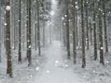 Winter Landscape, Near Villingen-Schwenningen, Black Forest, Baden-Wurttemberg, Germany, Europe Photographic Print by Jochen Schlenker