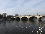Kingston Bridge Spans the River Thames at Kingston-Upon-Thames, a Suburb of London, England, United Photographic Print by Stuart Forster