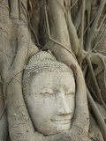 Buddha Head, Wat Mahathat, Ayutthaya, UNESCO World Heritage Site, Thailand, Southeast Asia, Asia Photographie par Richard Maschmeyer