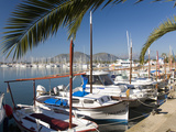 Traditional Boats Moored in the Harbour, Port D'Alcudia, Mallorca, Balearic Islands, Spain, Mediter Photographic Print by Ruth Tomlinson