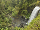 Zillie Falls, Atherton Tableland, Queensland, Australia, Pacific Fotografie-Druck von Jochen Schlenker