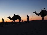 Camel Drivers at Dusk in the Sahara Desert, Near Douz, Kebili, Tunisia, North Africa, Africa Fotografie-Druck von  Godong