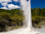 Lady Knox Geyser, Wai-O-Tapu Thermal Wonderland, North Island, New Zealand, Pacific Photographic Print by Ben Pipe